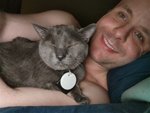 Gob — cat photo 38